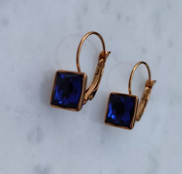 Deep blue earrings