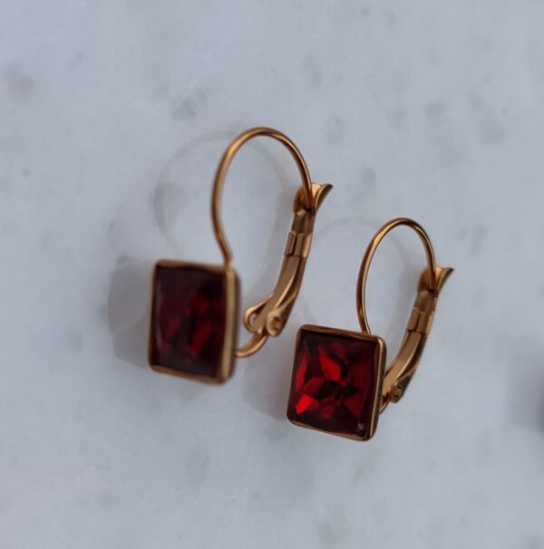 Deep red earrings
